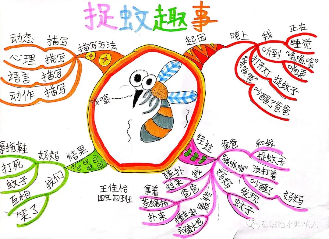 职校的趣闻趣事_职校校园生活趣事作文_职校人的趣事作文